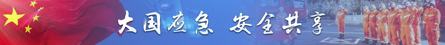 大国应急 安全共享